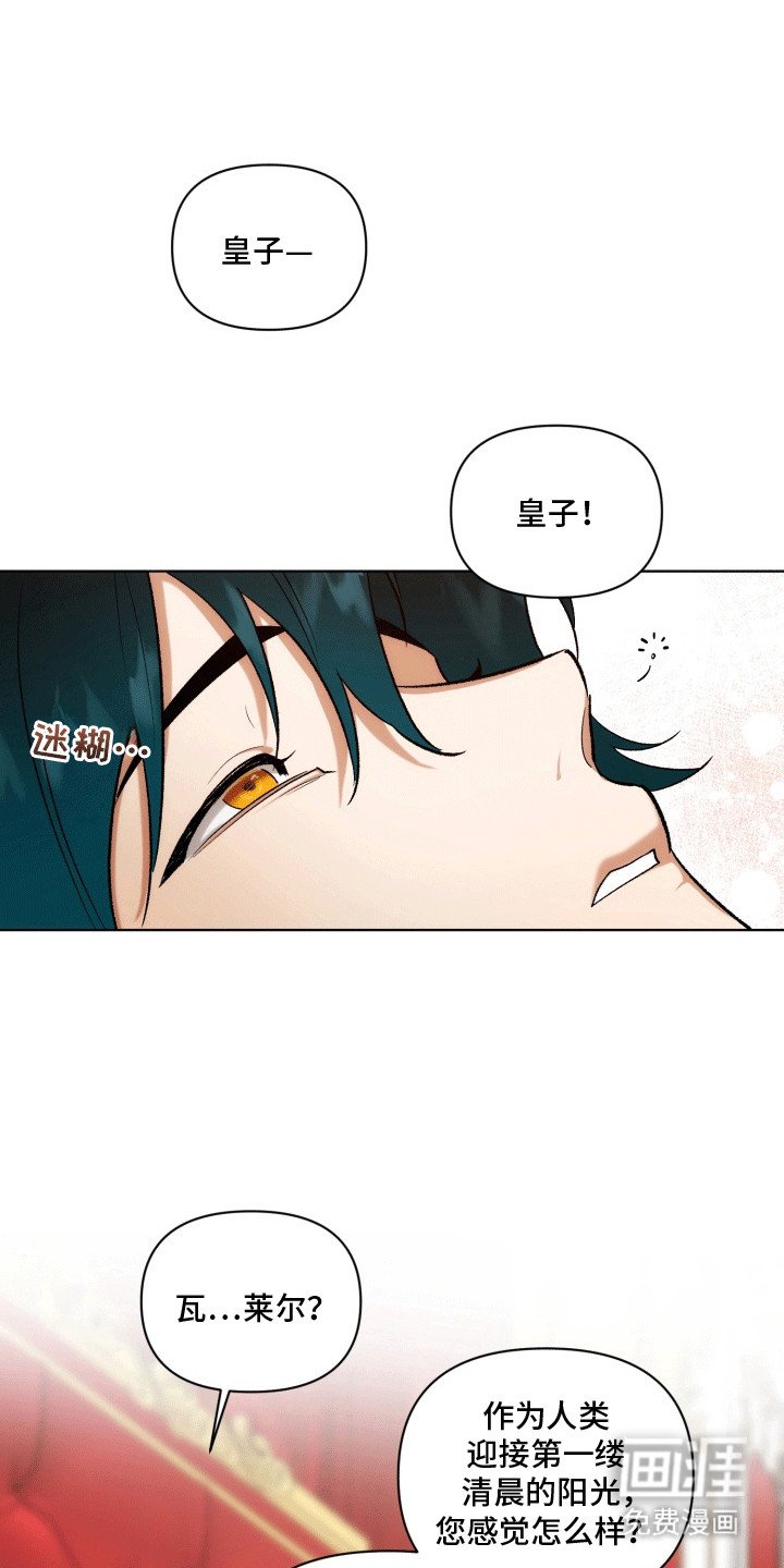 第46章：海底魔法师：陆地