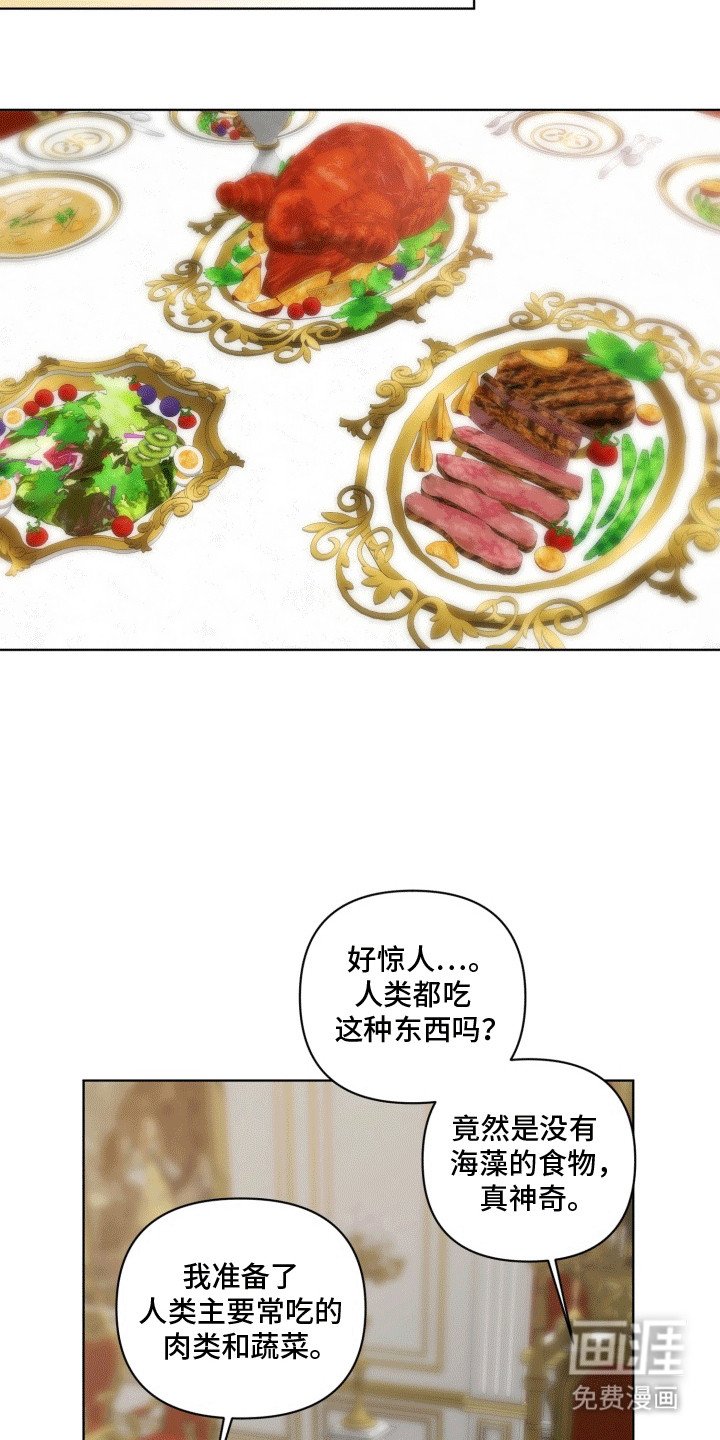 第46章：海底魔法师：陆地
