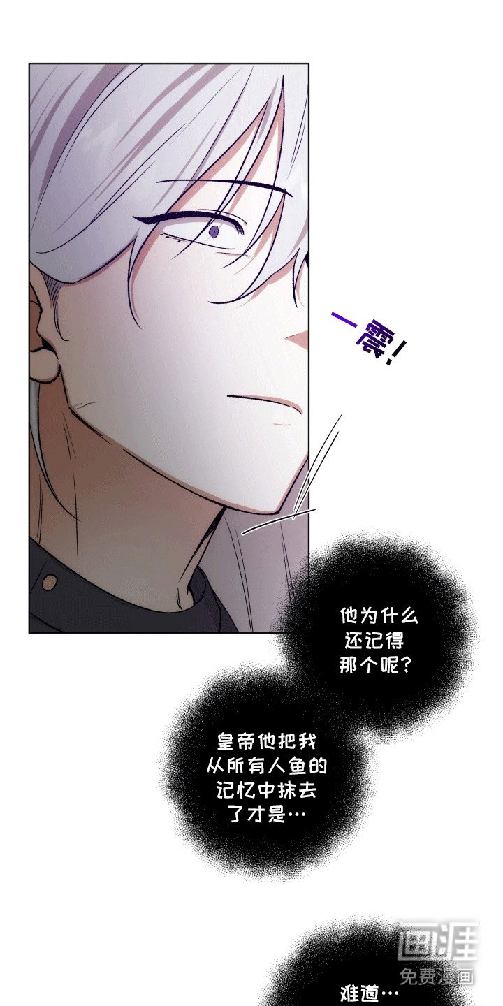 第46章：海底魔法师：陆地