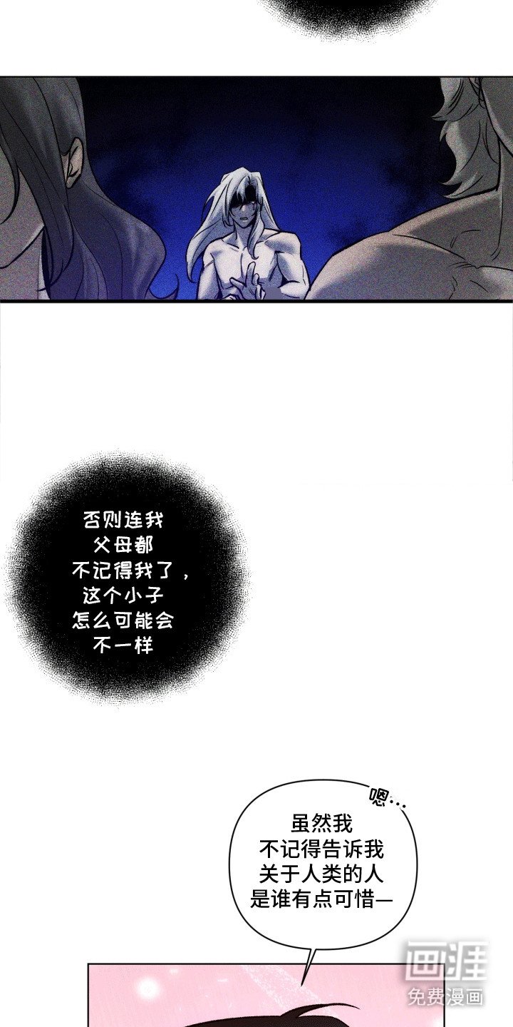 第46章：海底魔法师：陆地