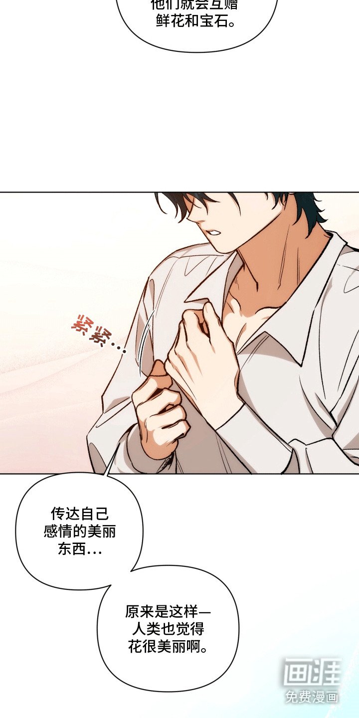 第47章：海底魔法师：仇恨
