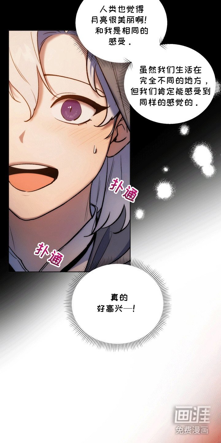 第47章：海底魔法师：仇恨