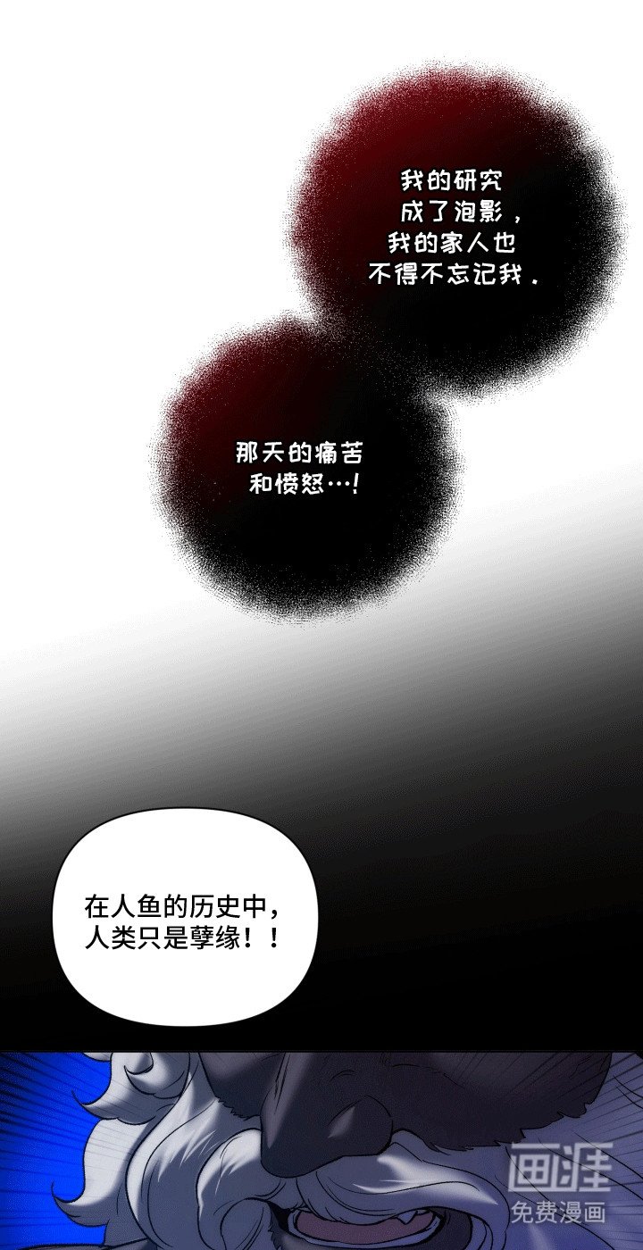 第48章：海底魔法师：花田
