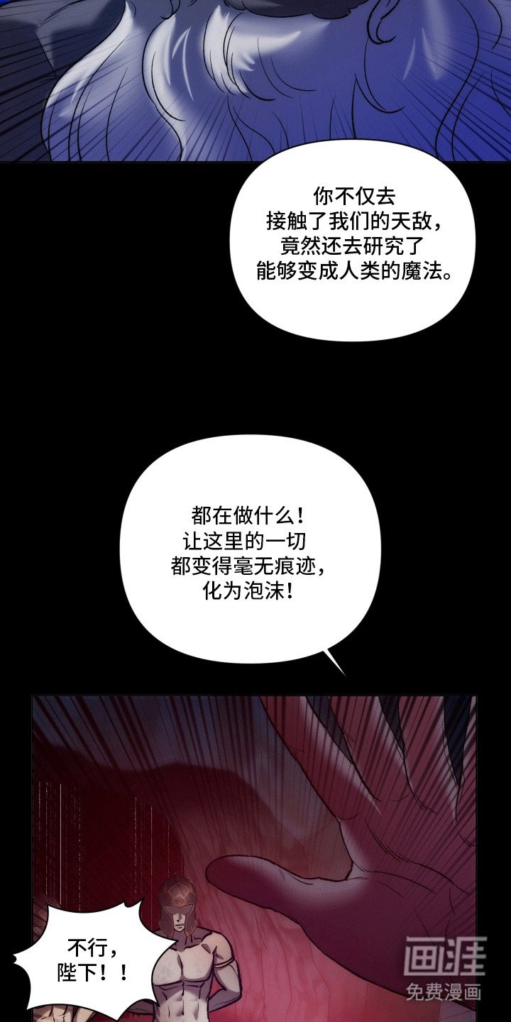 第48章：海底魔法师：花田