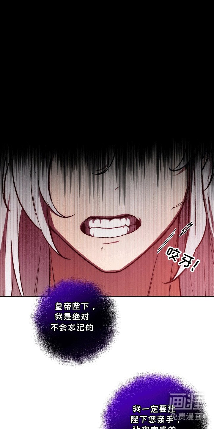 第48章：海底魔法师：花田
