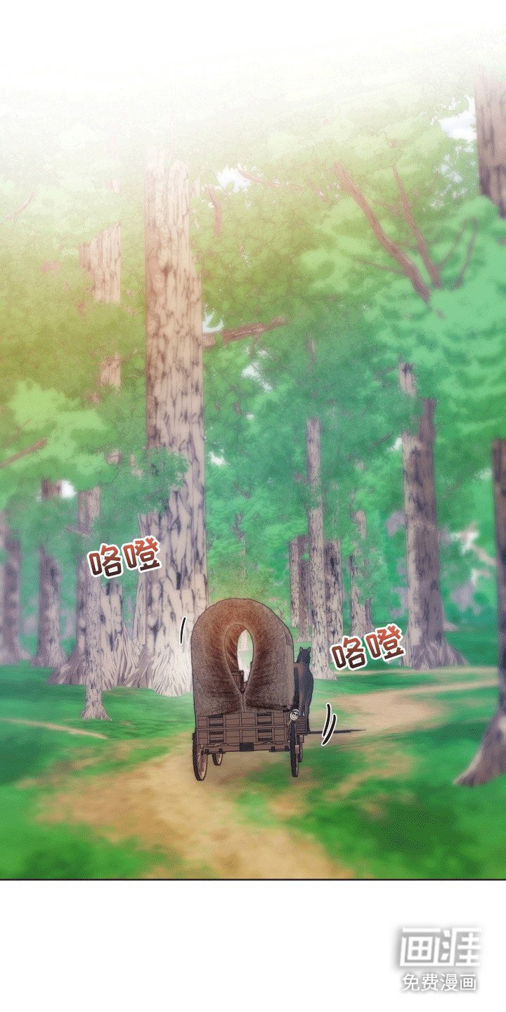 第48章：海底魔法师：花田