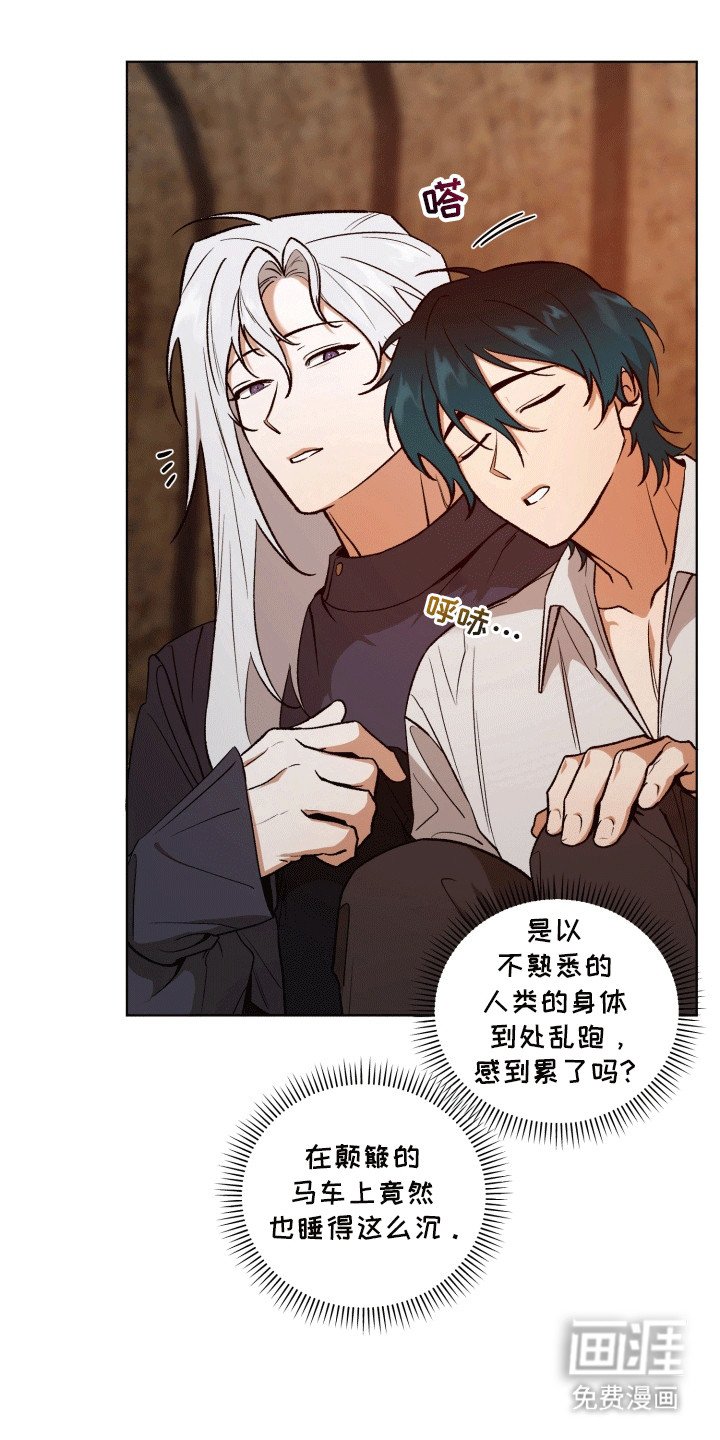 第48章：海底魔法师：花田