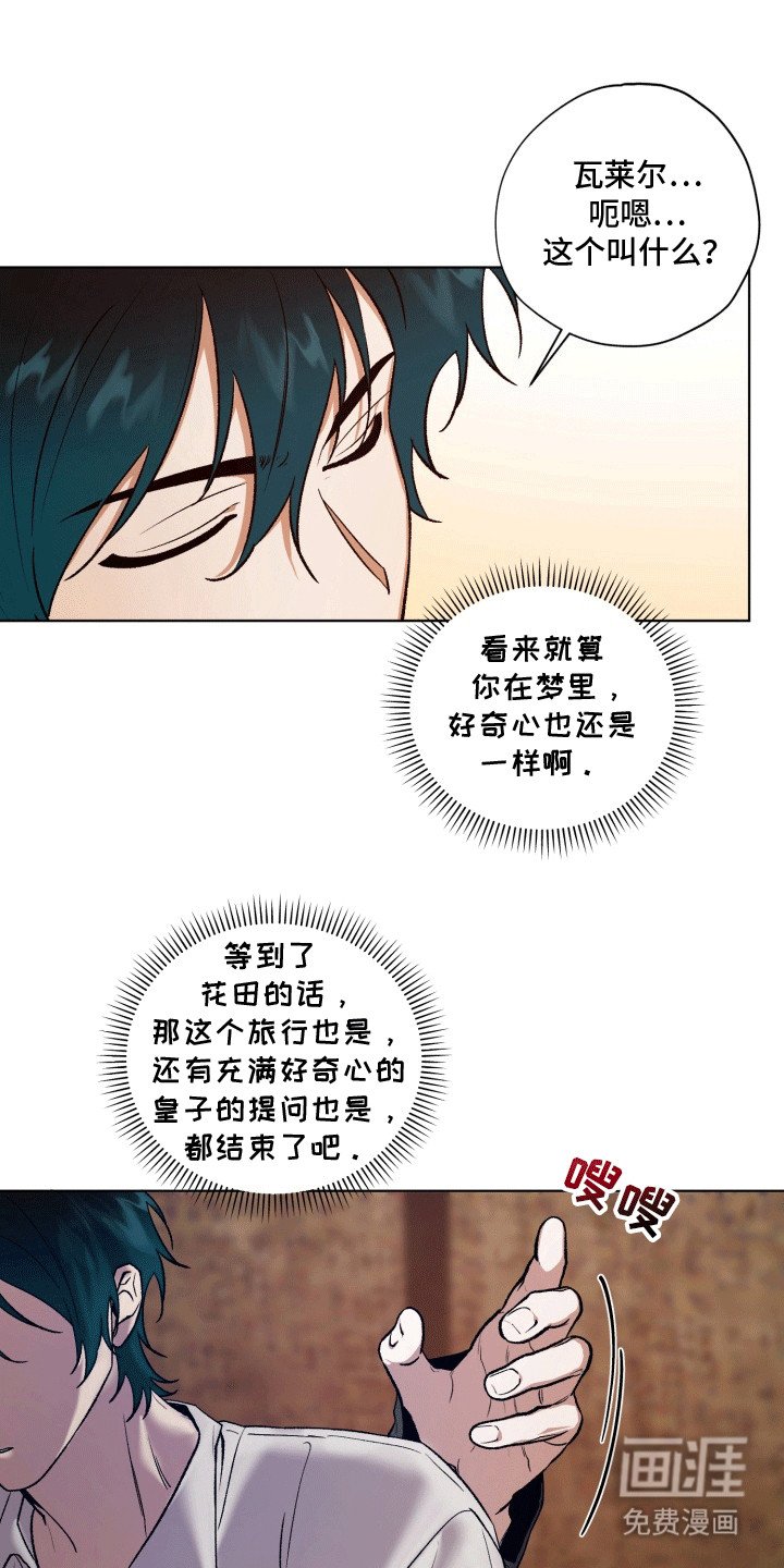 第48章：海底魔法师：花田
