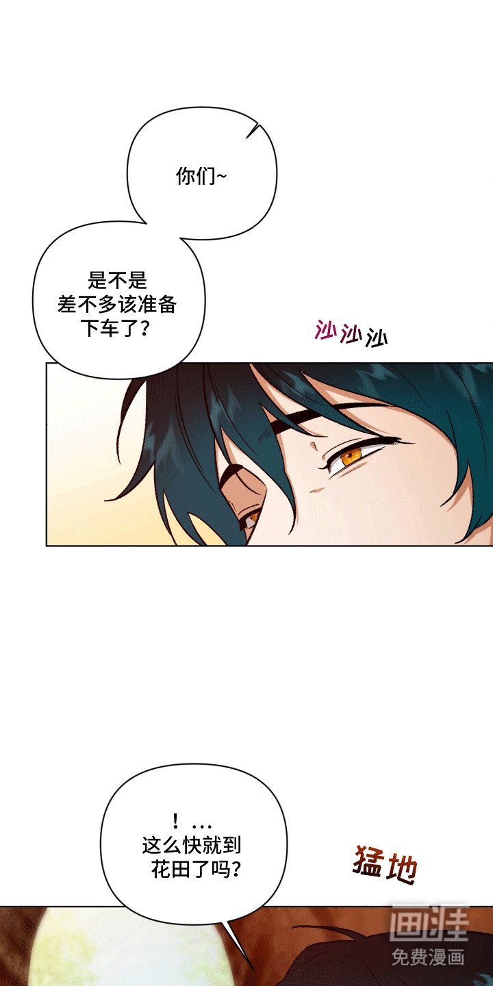 第48章：海底魔法师：花田