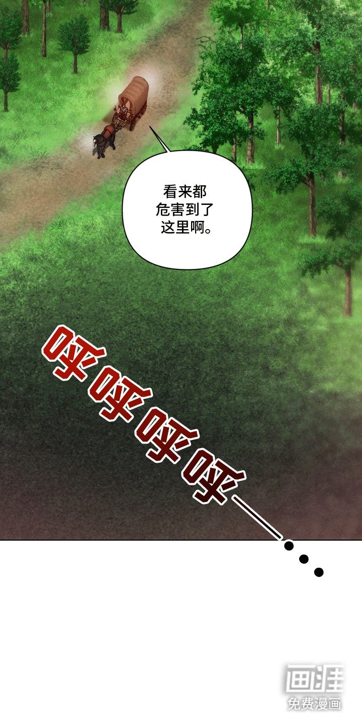 第48章：海底魔法师：花田