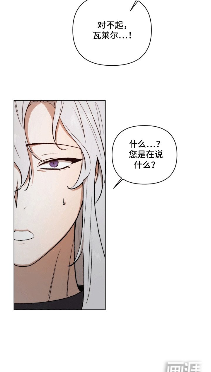 第48章：海底魔法师：花田