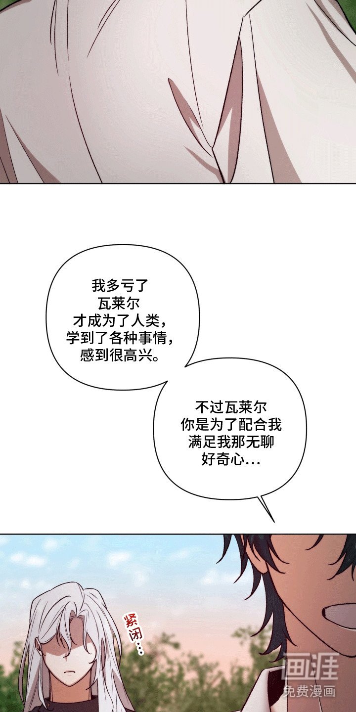 第48章：海底魔法师：花田