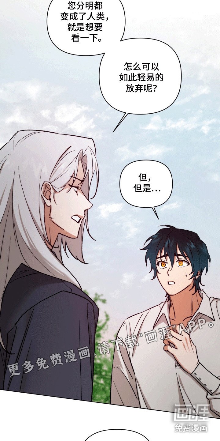 第48章：海底魔法师：花田