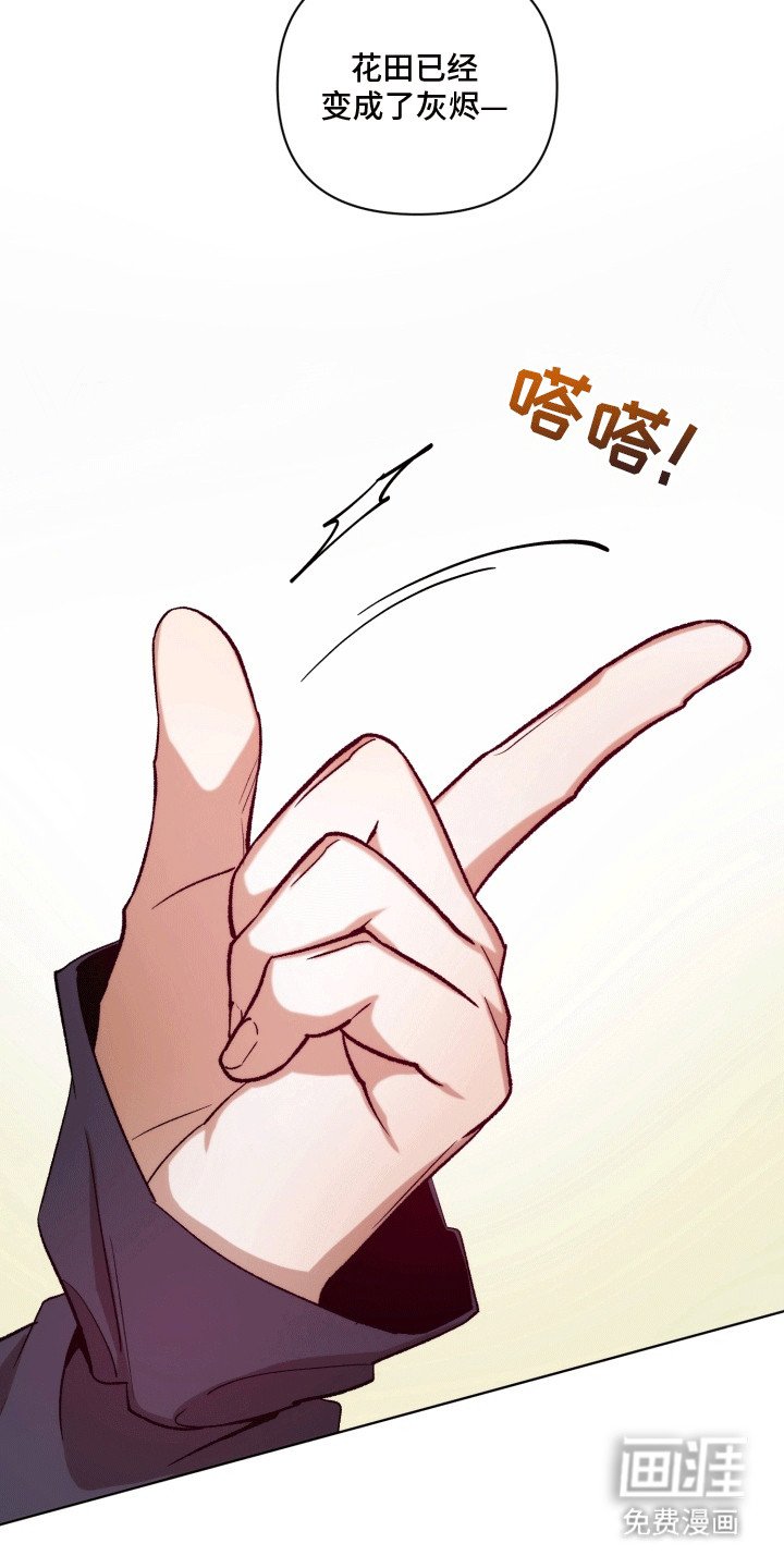 第48章：海底魔法师：花田
