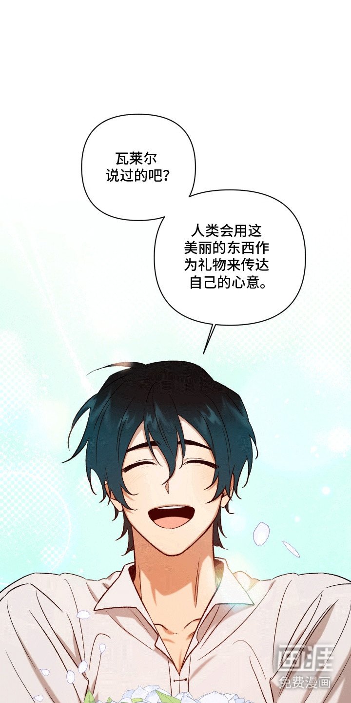 第49章：海底魔法师：坦白