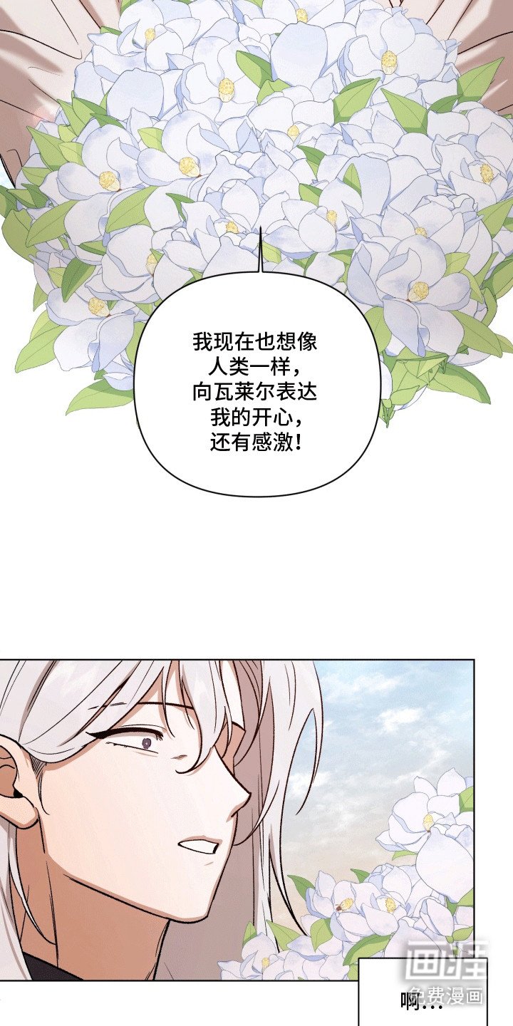 第49章：海底魔法师：坦白