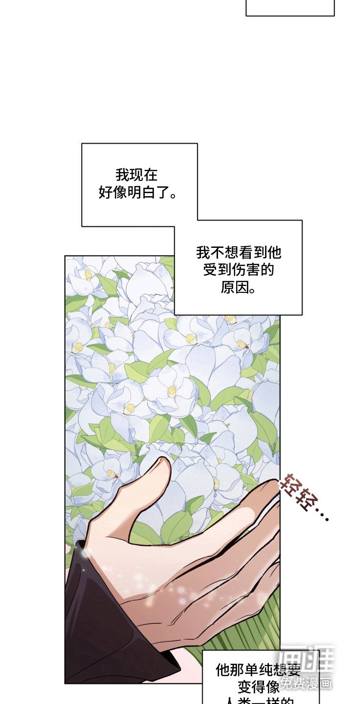 第49章：海底魔法师：坦白