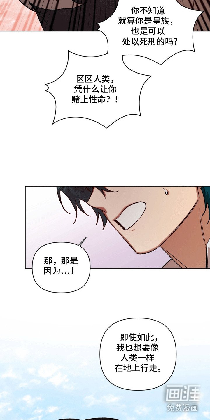第49章：海底魔法师：坦白