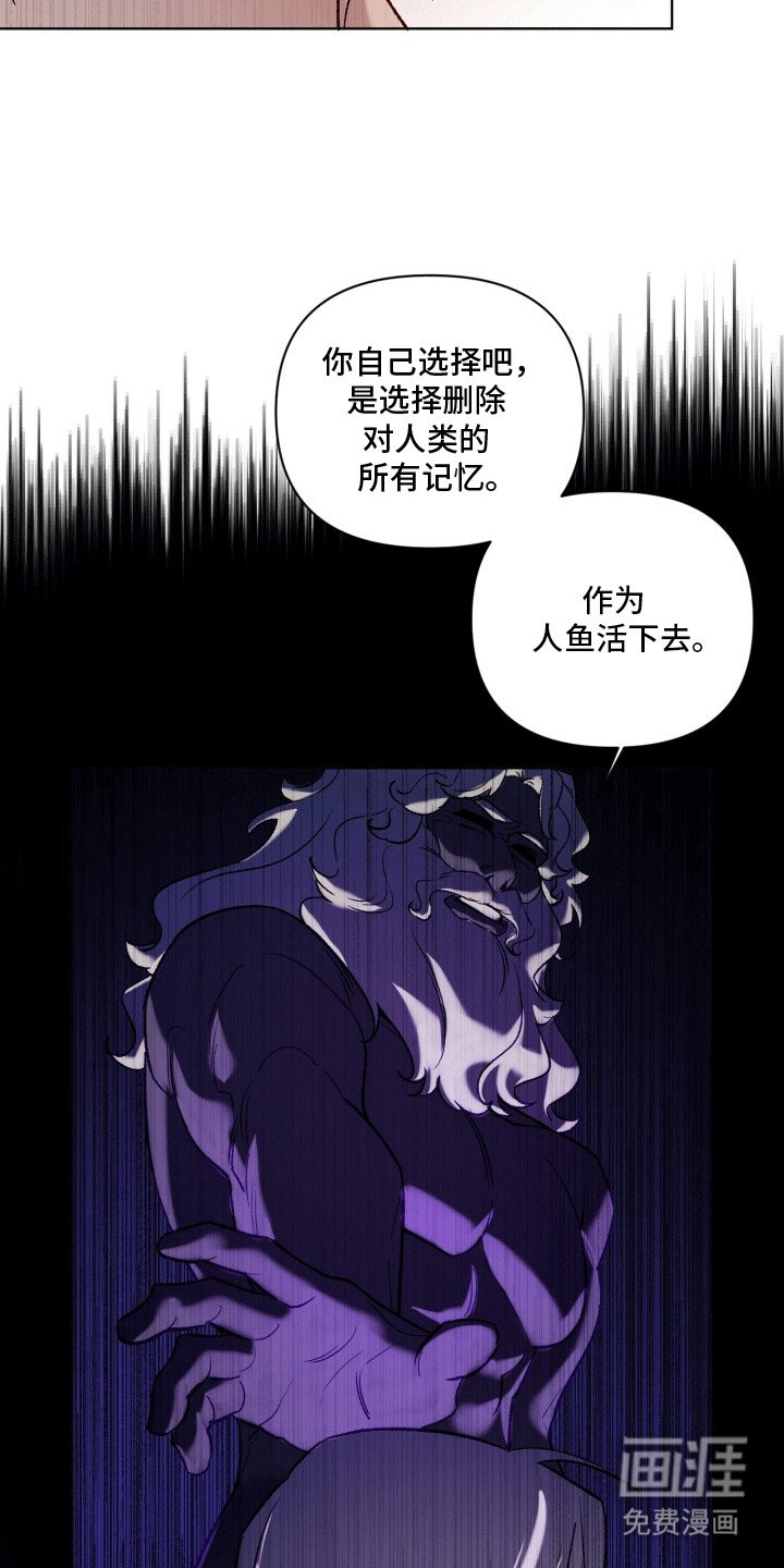 第49章：海底魔法师：坦白
