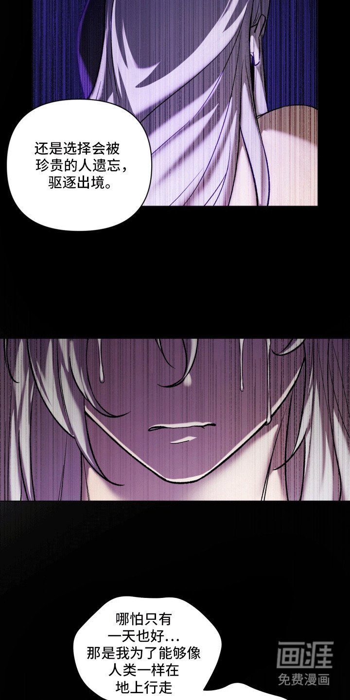 第49章：海底魔法师：坦白