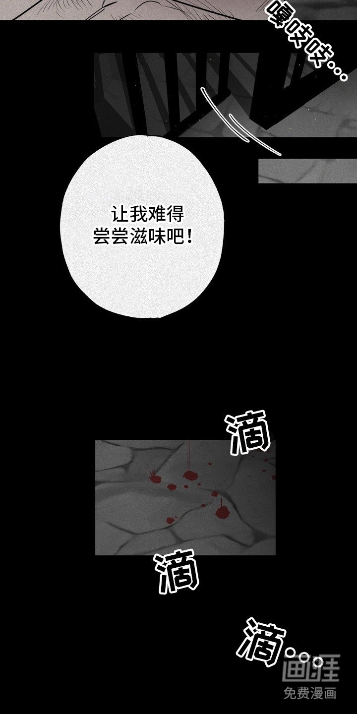 第56章：救世主：好奇