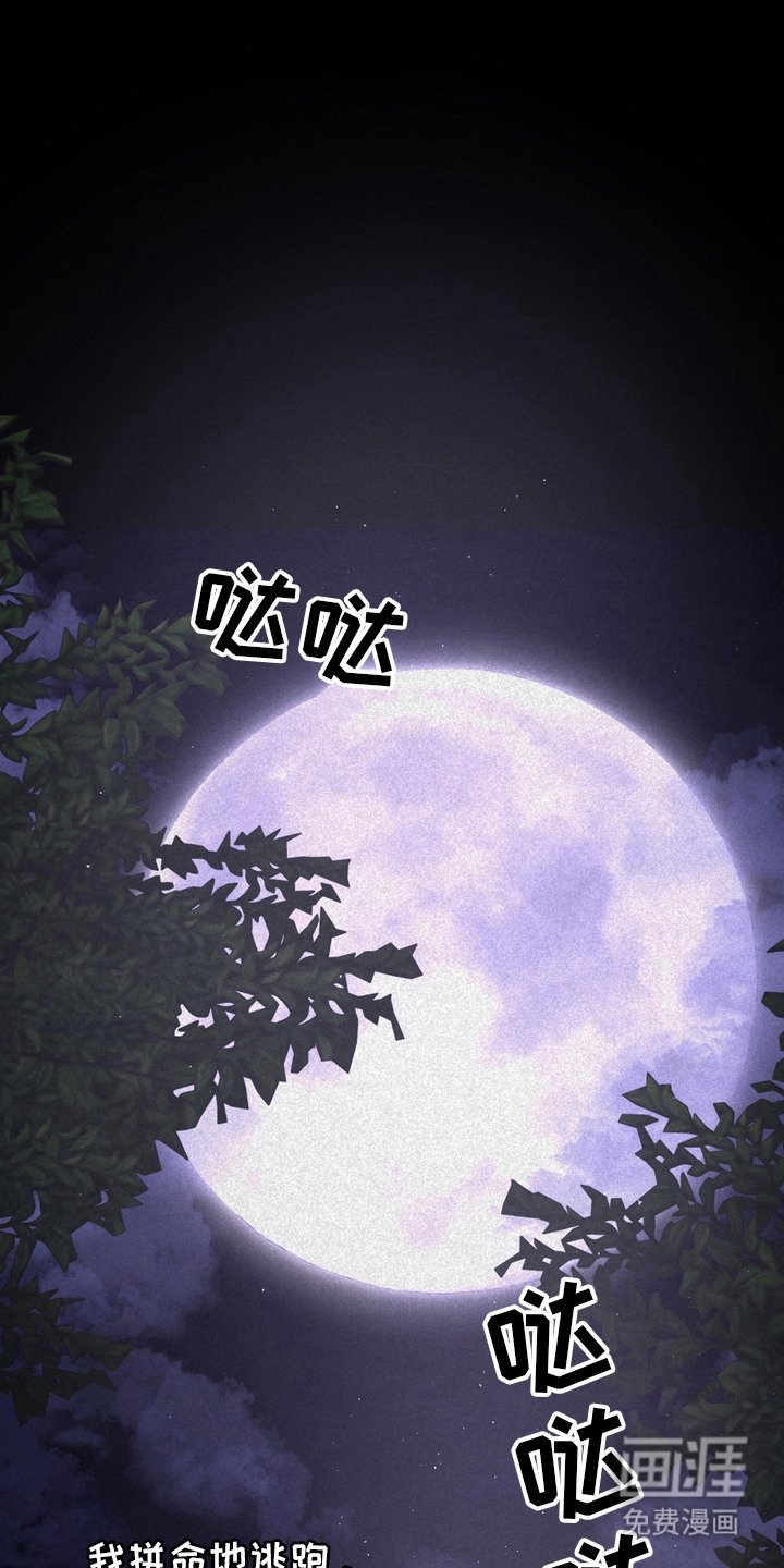 第57章：救世主：战争