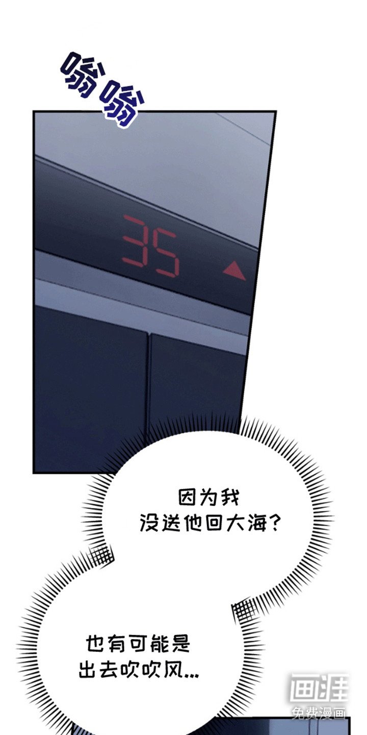 第10章：开车抓鱼