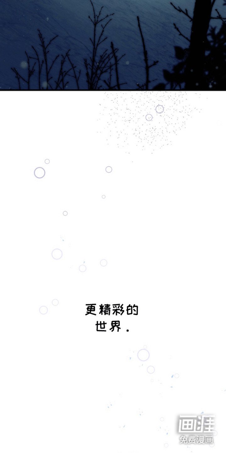 第10章：开车抓鱼