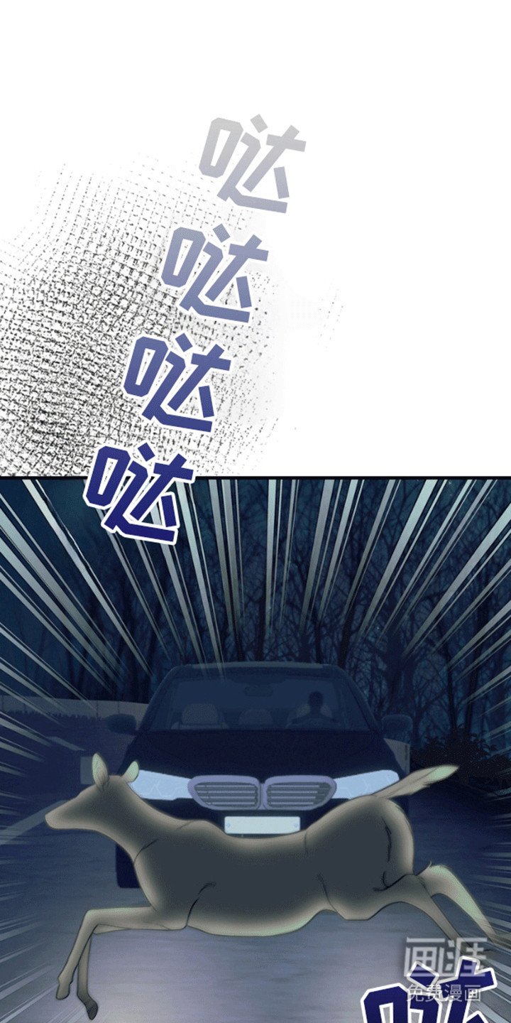 第11章：失去的记忆