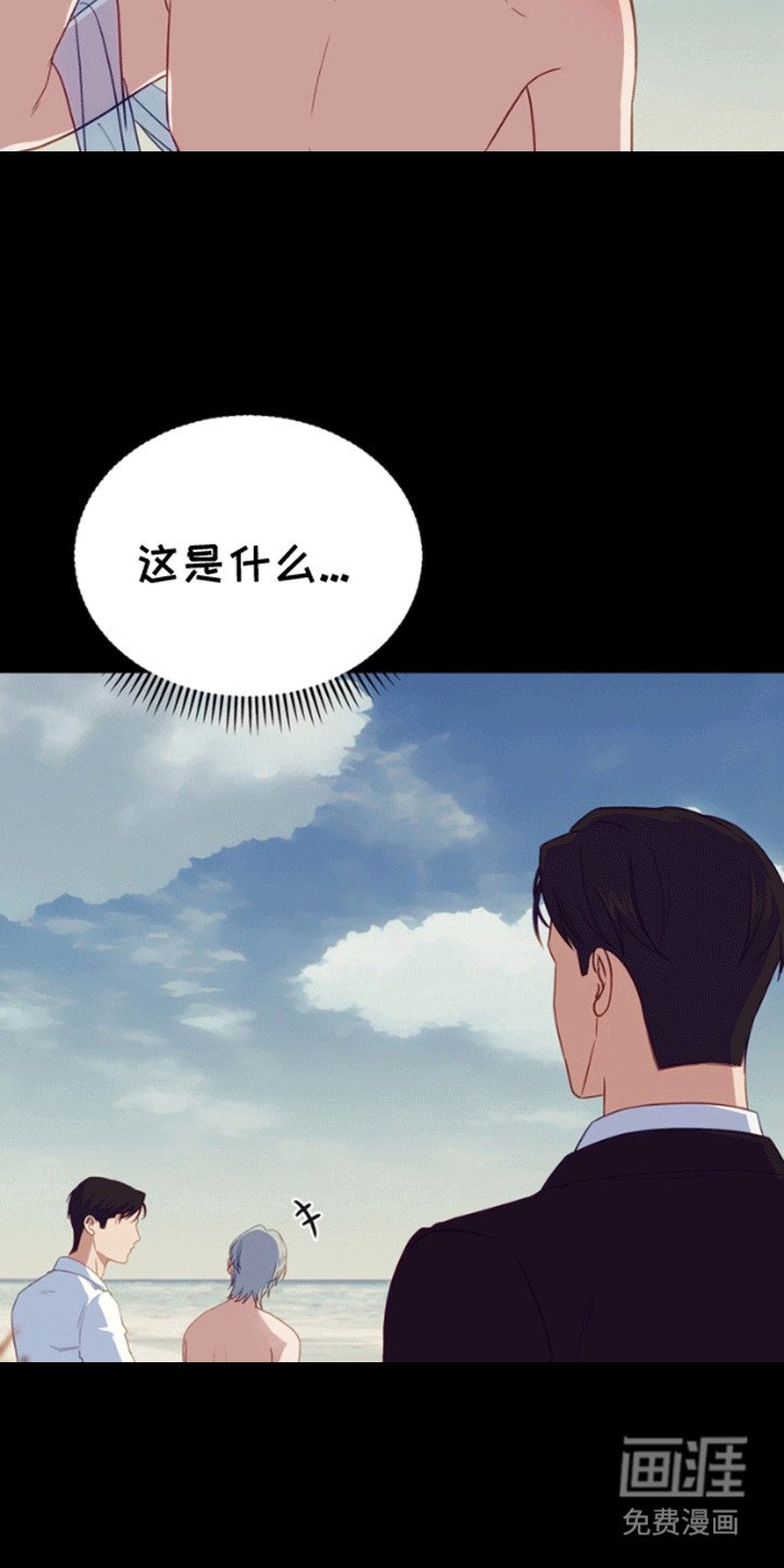 第11章：失去的记忆