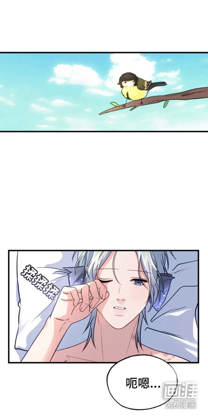 第5章：被发现了
