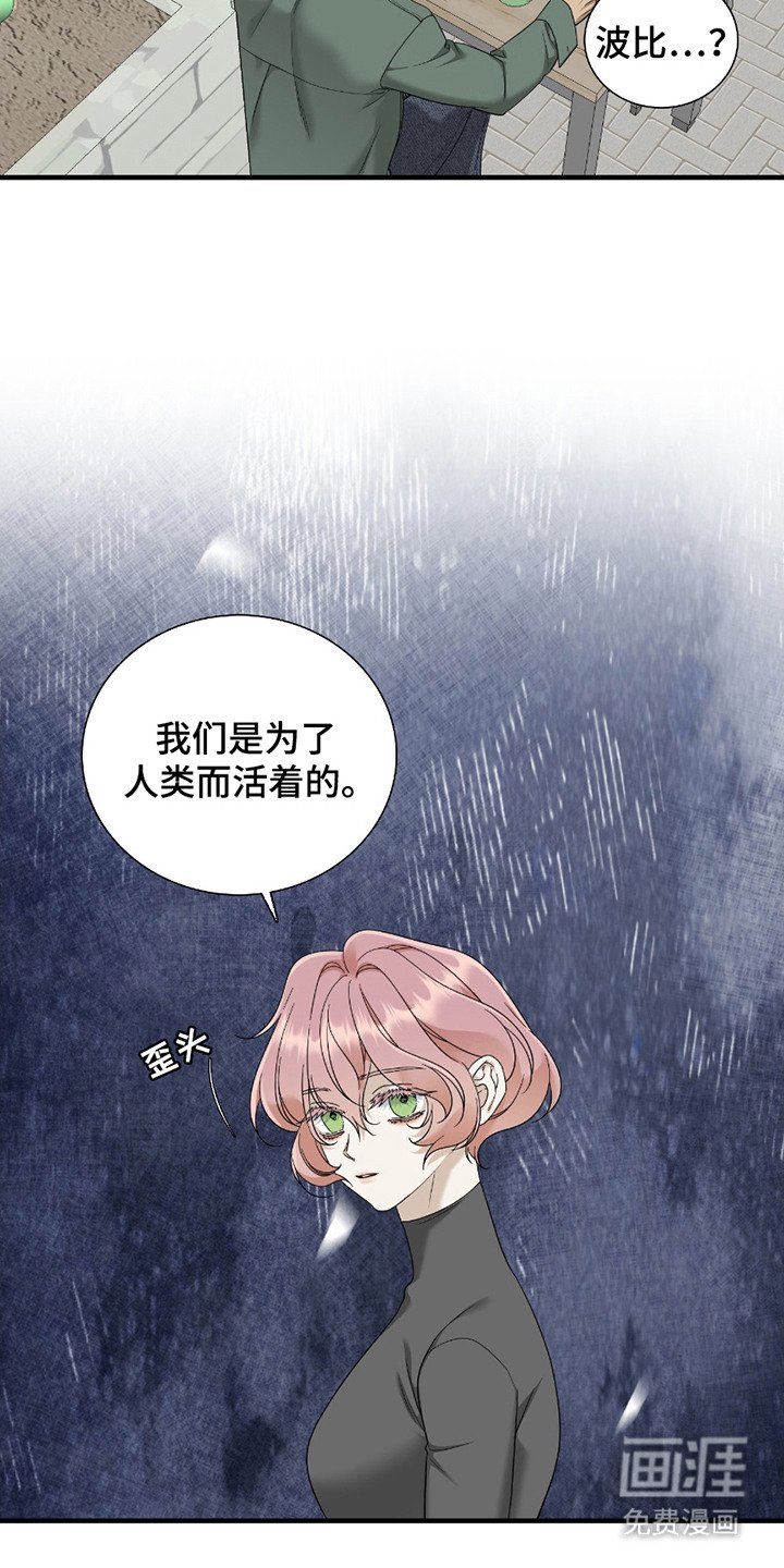 第11章：不该回避