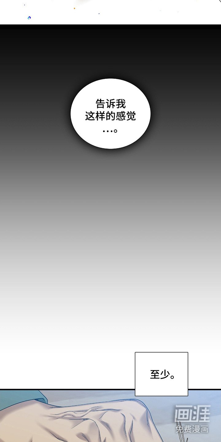 第11章：不该回避
