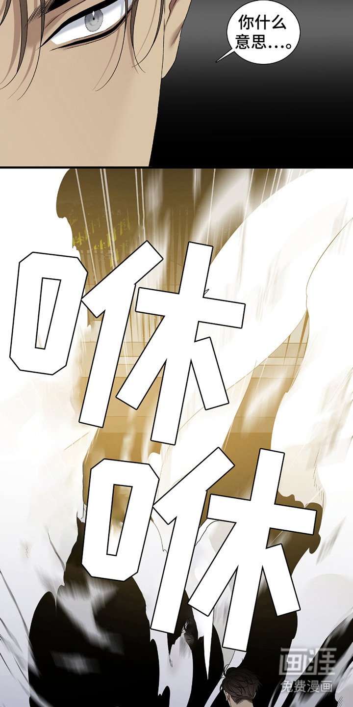 第13章：价值