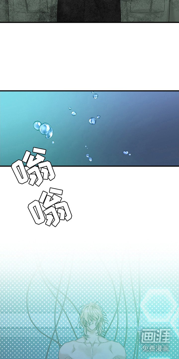 第13章：价值