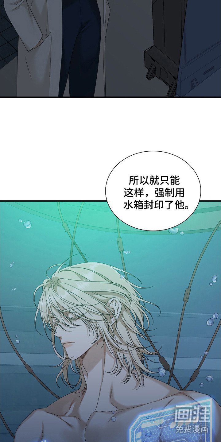 第13章：价值