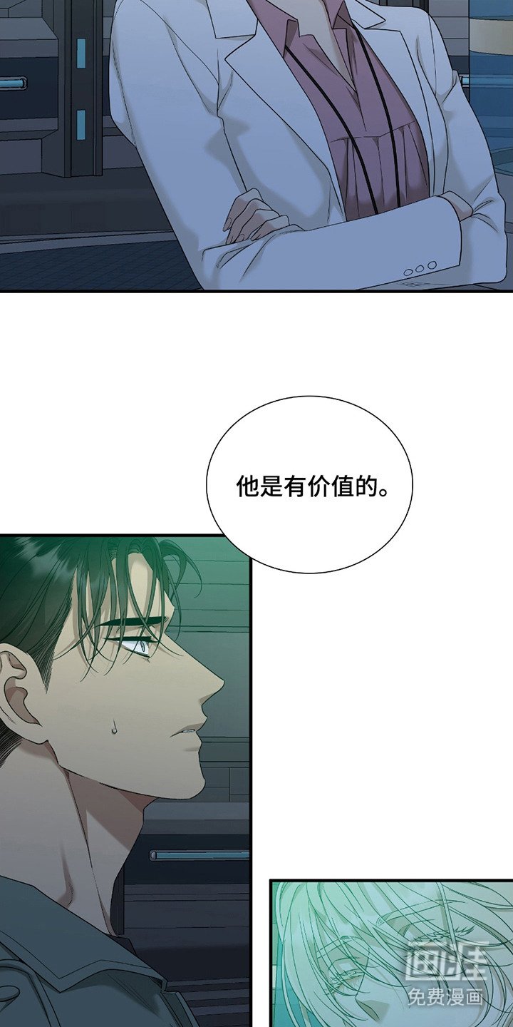 第13章：价值