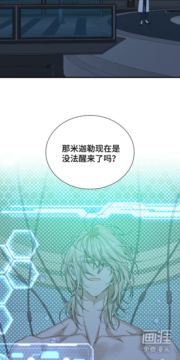 第13章：价值