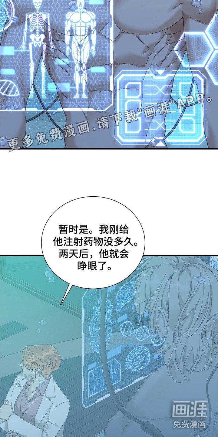 第13章：价值