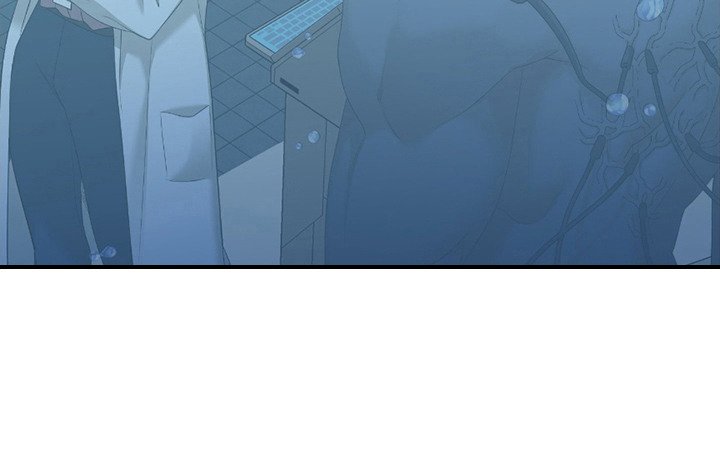 第13章：价值