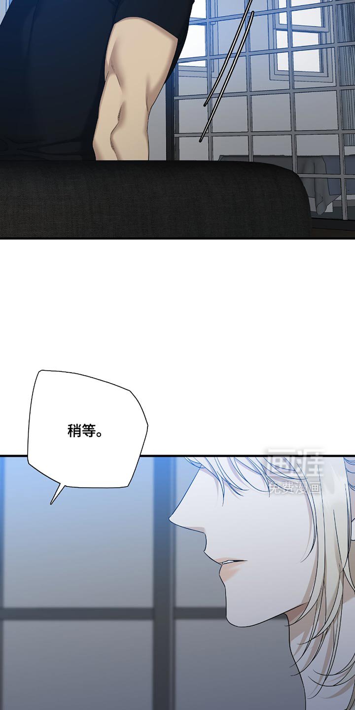第15章：选择