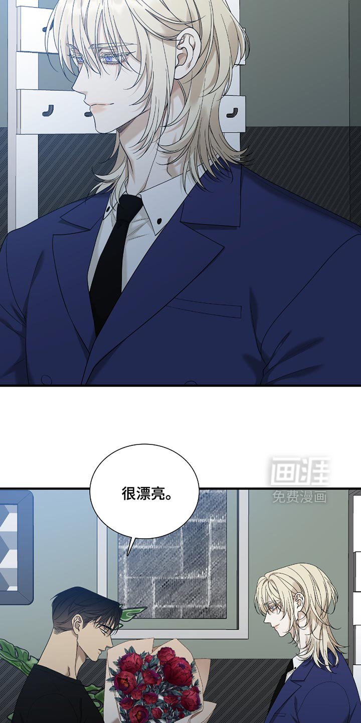 第15章：选择