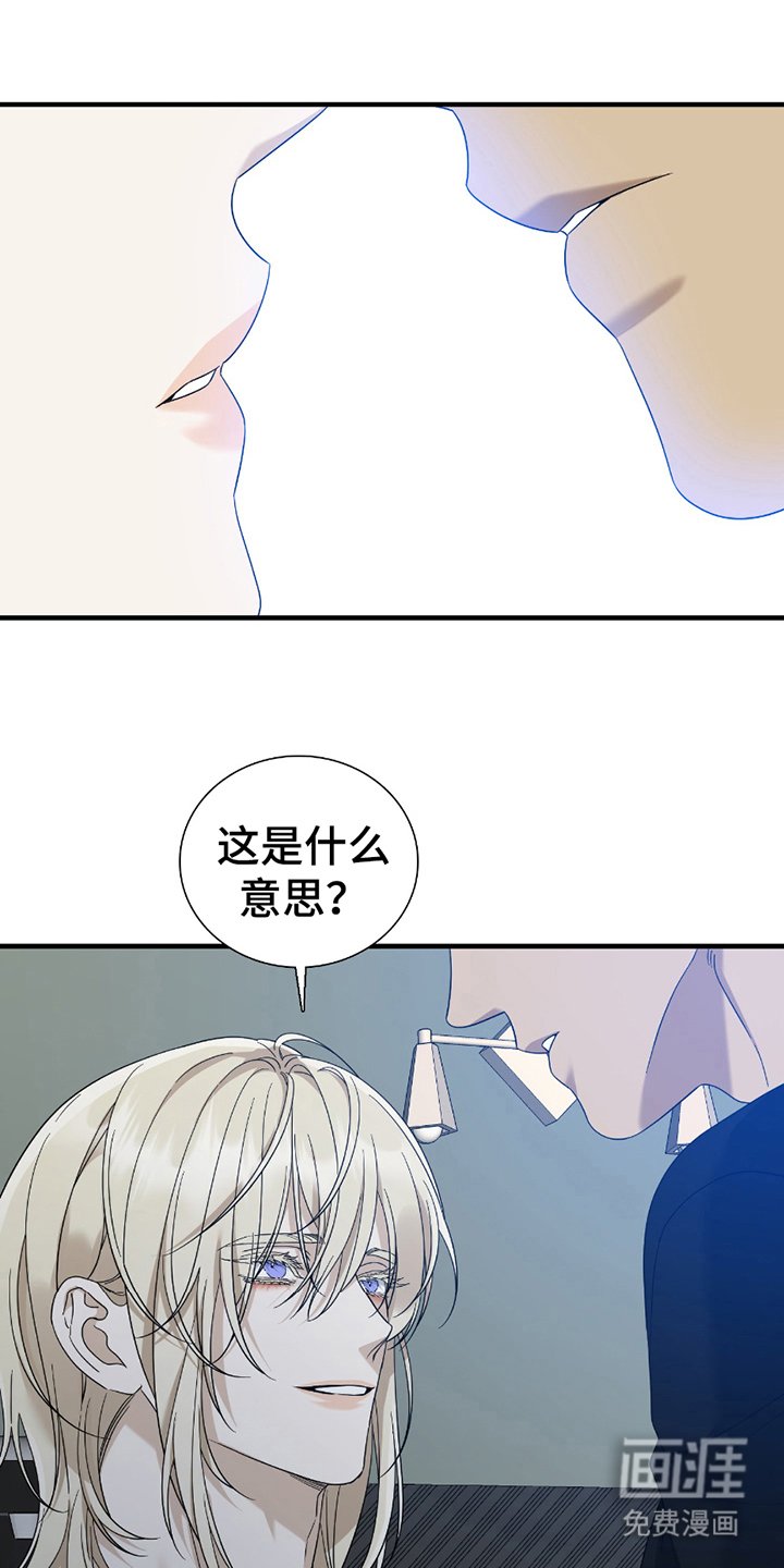 第17章：什么意思