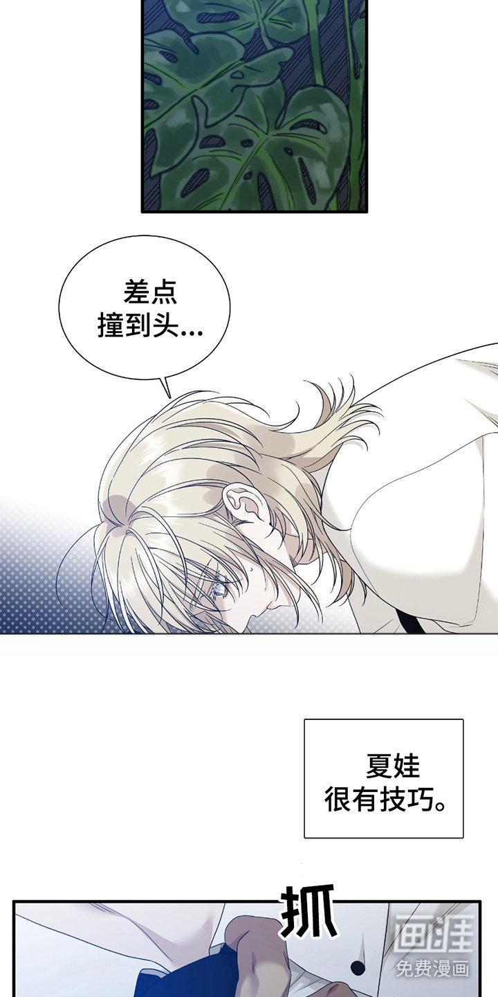 第19章：最好看的