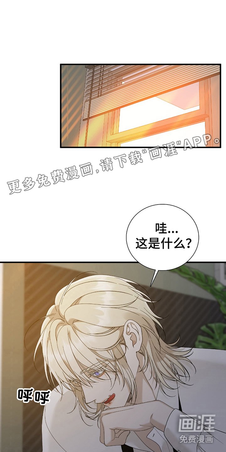 第19章：最好看的
