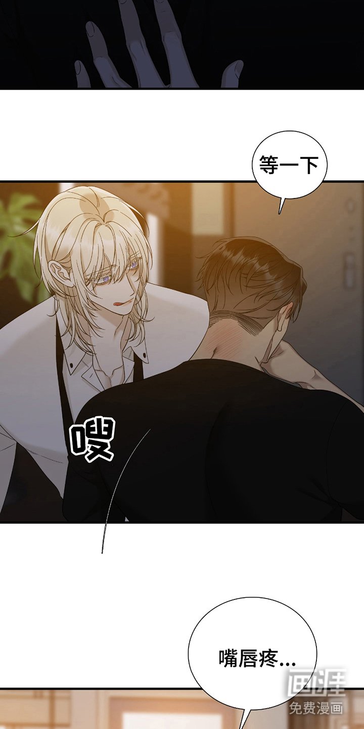 第19章：最好看的