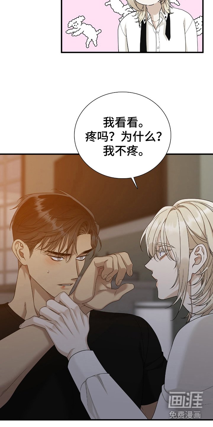 第19章：最好看的