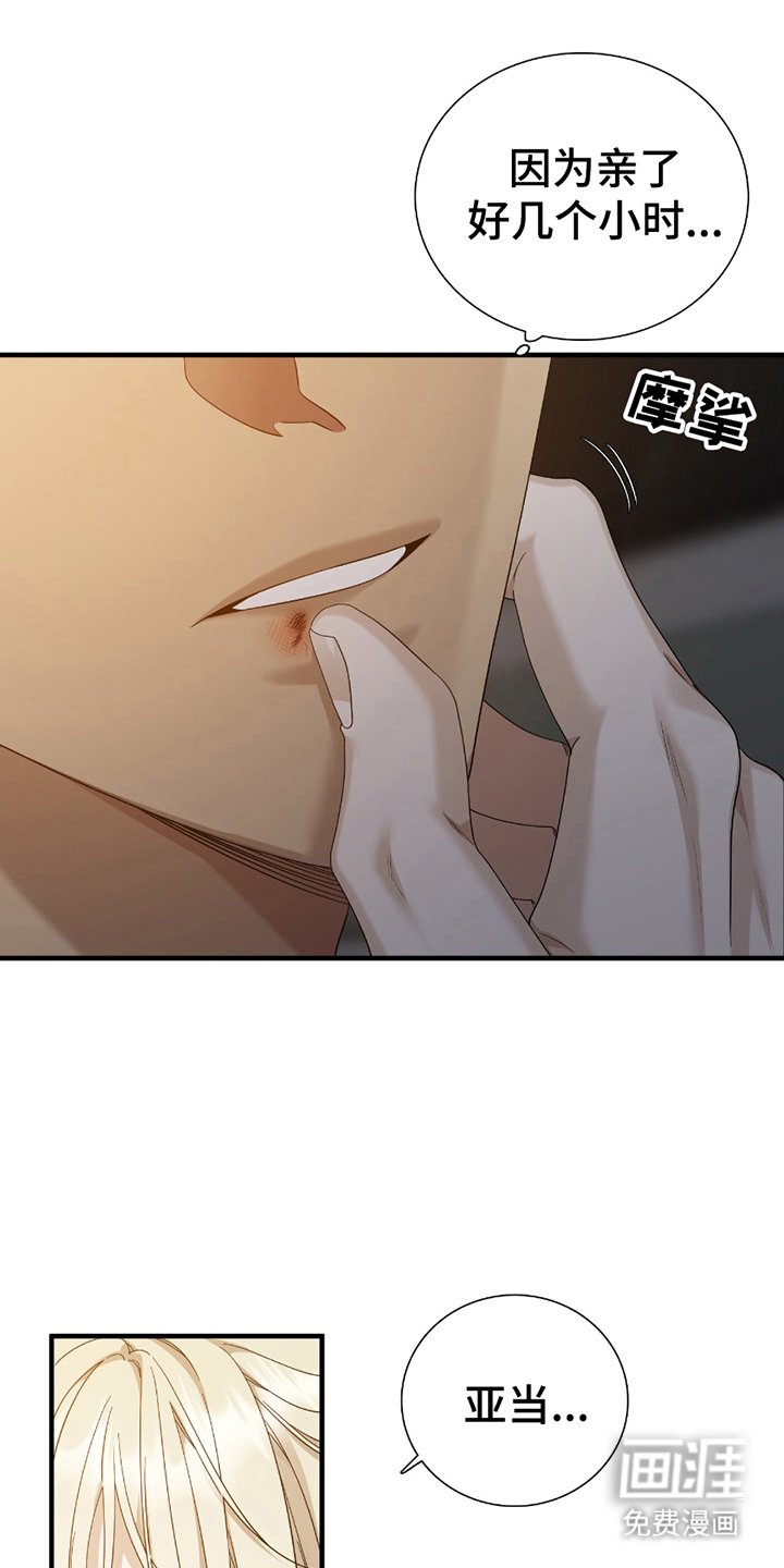 第19章：最好看的