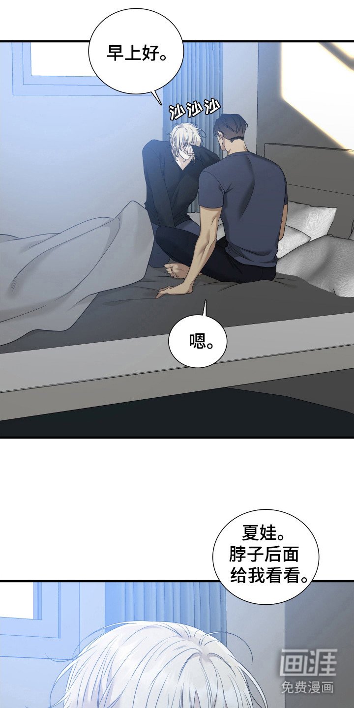 第24章：数值降低