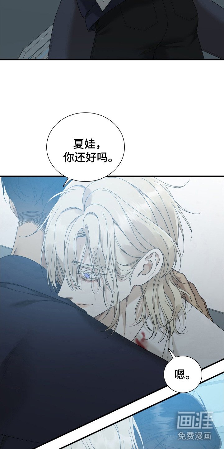 第29章：强行终止